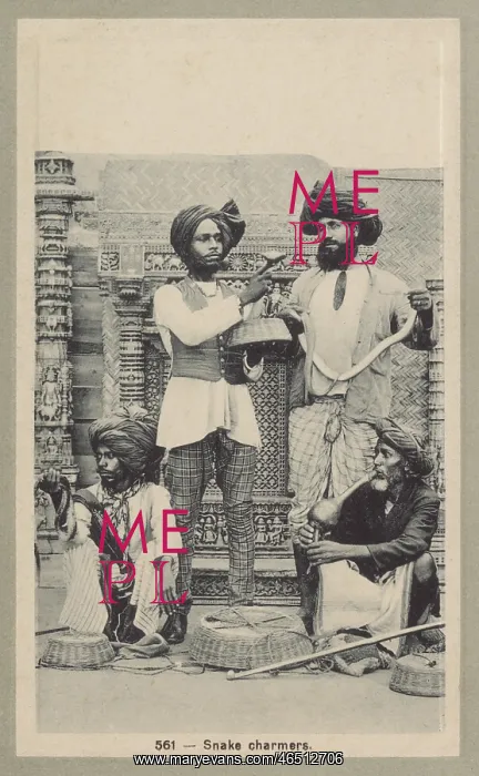  : Indian Snake Charmers
