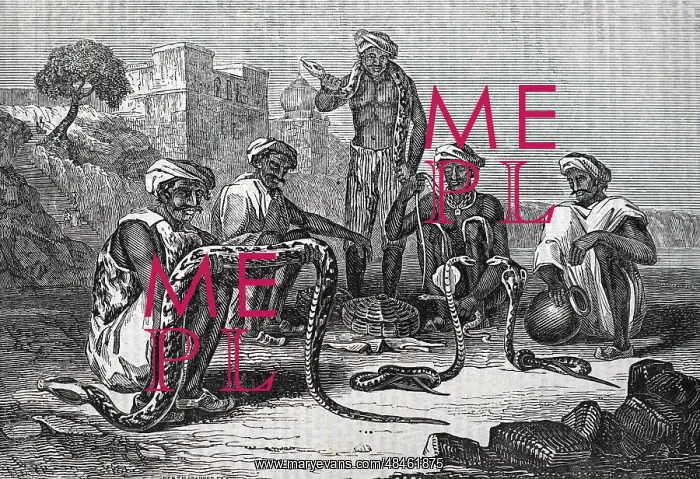  : Indian snake charmers