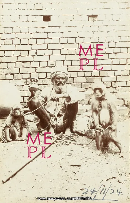 : Indian Street Entertainer with two monkeys : Indian Street Entertainer with two monkeys