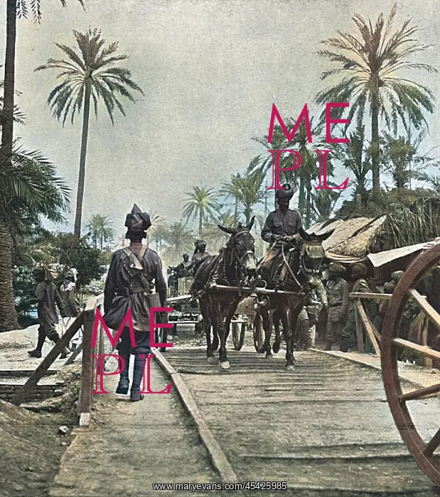 : Indian transport in Mesopotamia, 1916 : Indian transport in Mesopotamia, 1916