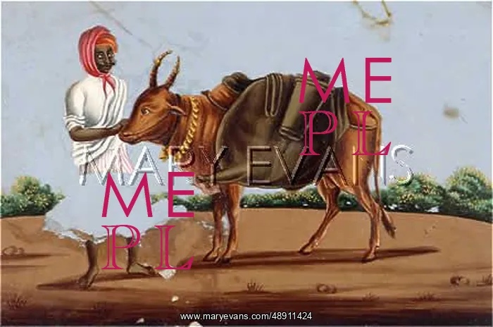 : INDIAN WATER CARRIER : INDIAN WATER CARRIER