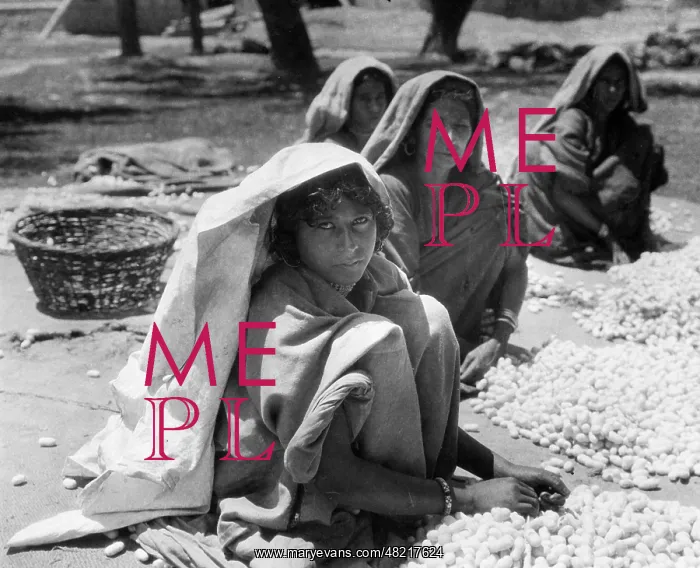: Indian women sort silkworm cocoons, 1930 : Indian women sort silkworm cocoons, 1930