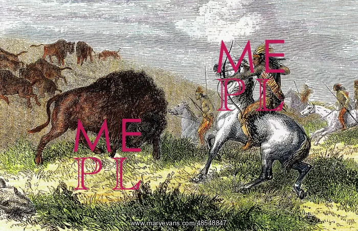  : Indians hunting bison
