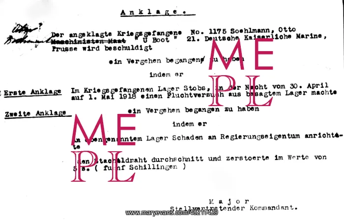 : Bill of indictment against a German captive, 1918 : Bill of indictment against a German captive, 1918