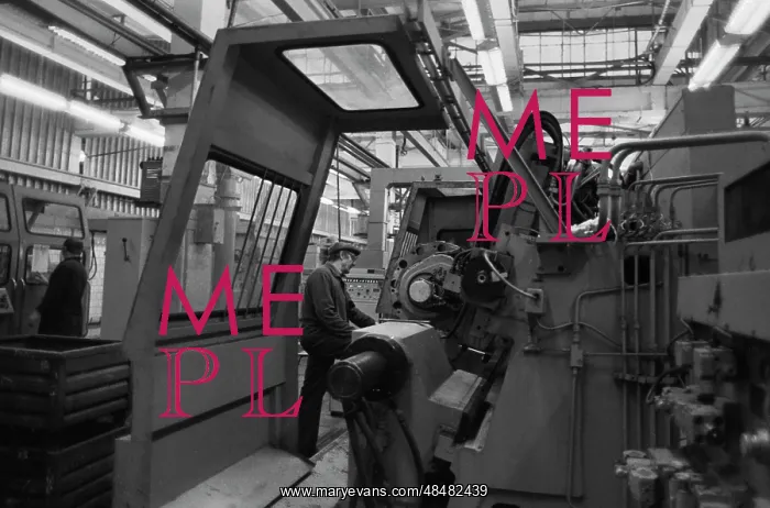 : Industrial enterprise : Industrial enterprise