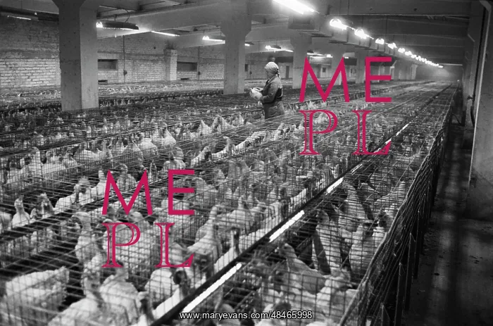 : Industriya - Industry subsidiary husbandry : Industriya - Industry subsidiary husbandry