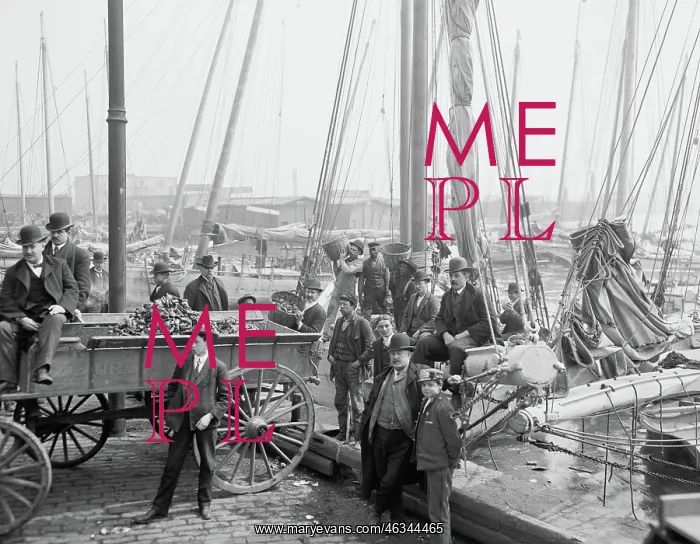 : Industry - Oysters - Occupations Men : Industry - Oysters - Occupations Men