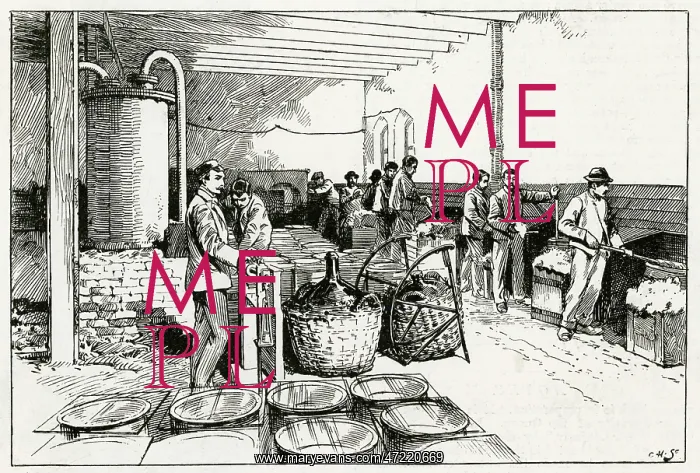 : INDUSTRY / TEXTILES / SILK : INDUSTRY / TEXTILES / SILK