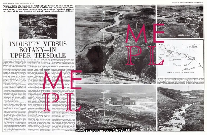 : Industry versus Botany in Upper Teesdale : Industry versus Botany in Upper Teesdale