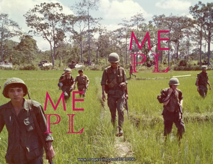 : INFANTRY IN RICE PADDY : INFANTRY IN RICE PADDY