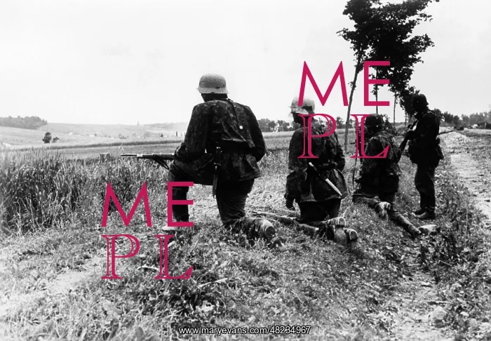 : Infantry of the Waffen SS on the Eastern Front, 1941 : Infantry of the Waffen SS on the Eastern Front, 1941