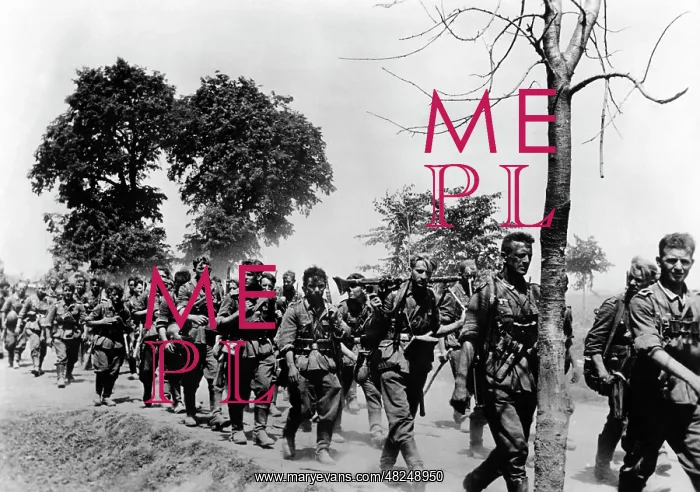 : Infantry of the Wehrmacht on the Eastern Front, 1941 : Infantry of the Wehrmacht on the Eastern Front, 1941