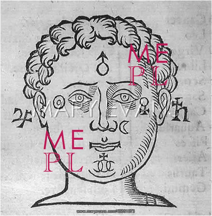 : INFLUENCES ON FACE : INFLUENCES ON FACE