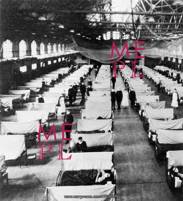 : Influenza Epidemic : Influenza Epidemic