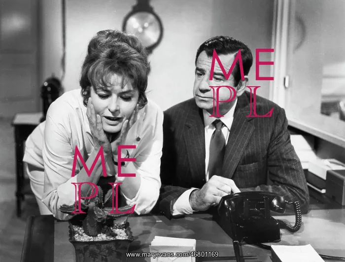 : Ingrid Bergman - Walter Matthau - celebrity : Ingrid Bergman - Walter Matthau - celebrity