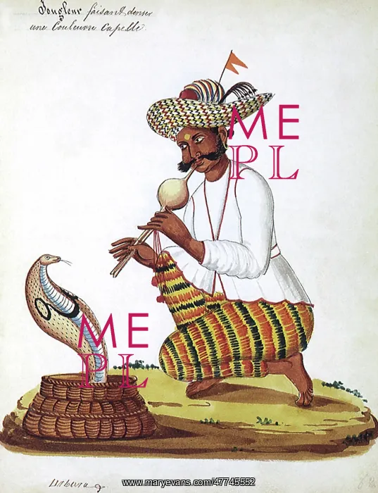  : Inian man snake charmer