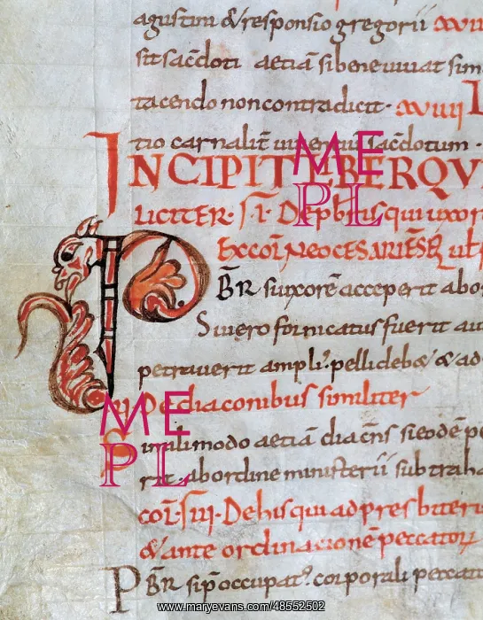 : Initial. Carolingian letter : Initial. Carolingian letter