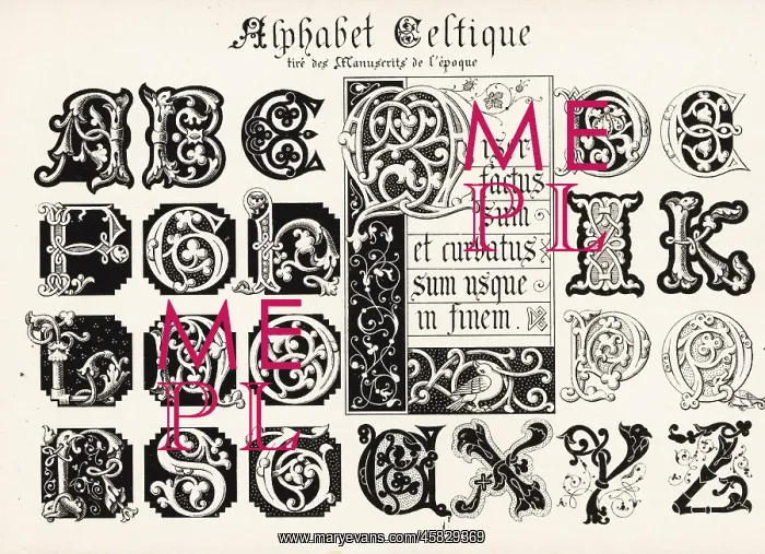 : Initial letters from a Celtic alphabet taken from : Initial letters from a Celtic alphabet taken from
