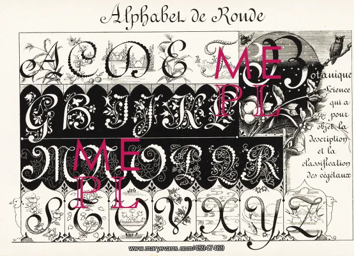 : Initial letters in the Ronde (Round) script decorated : Initial letters in the Ronde (Round) script decorated