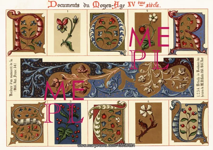 : Initials and border design from an illuminated : Initials and border design from an illuminated