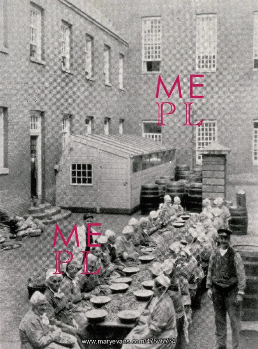 : Inmates employed at canning in the Amsterdam Workhouse : Inmates employed at canning in the Amsterdam Workhouse