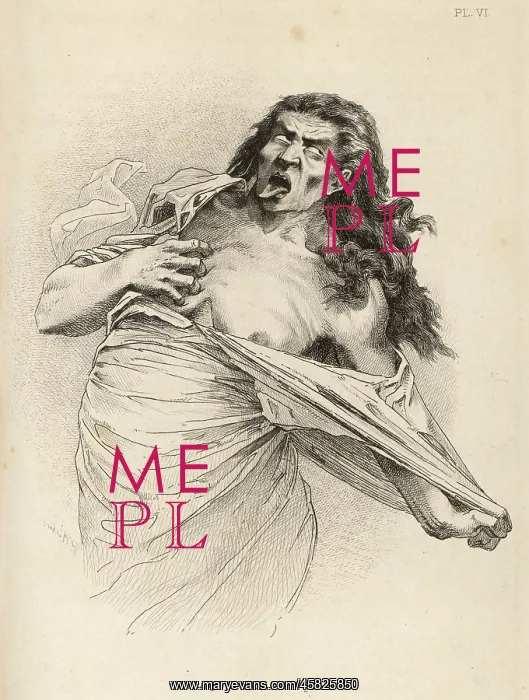 : INSANITY / HYSTERIA / 1881 : INSANITY / HYSTERIA / 1881