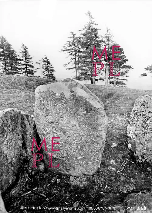 : Inscribed Stone, Knockmany Cairn, Co Tyrone : Inscribed Stone, Knockmany Cairn, Co Tyrone