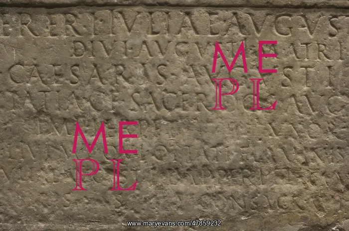 : Detail of the inscription on a pedestal : Detail of the inscription on a pedestal