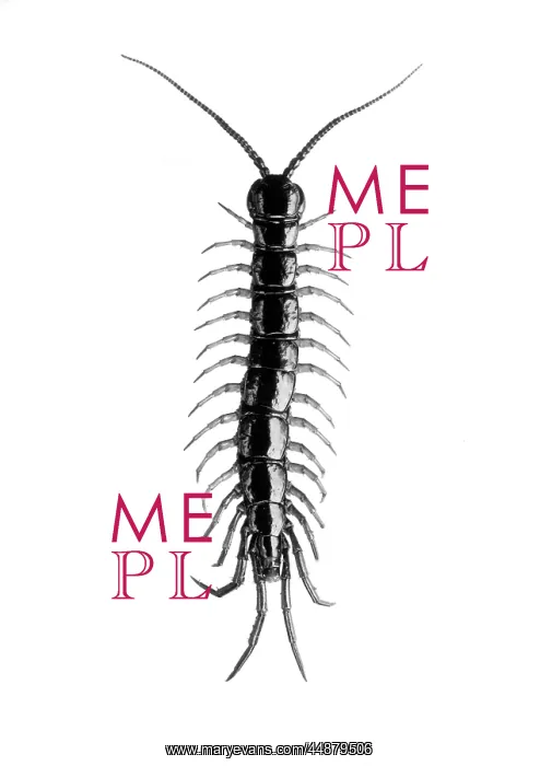  : INSECT / CENTIPEDE