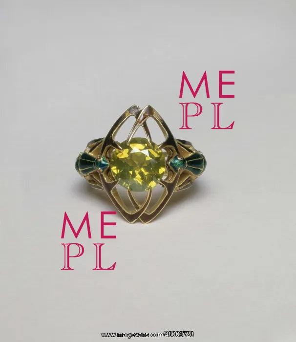 : Insect ring : Insect ring