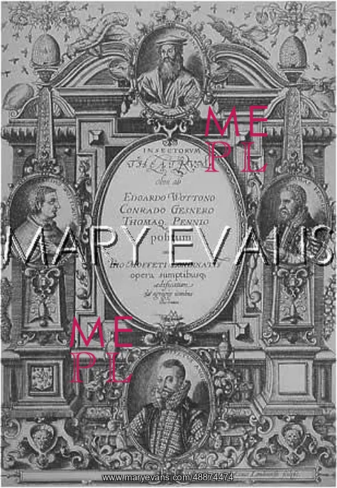  : INSECT TITLE PAGE