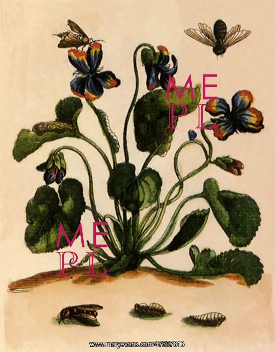  : Insects on Bright Plant