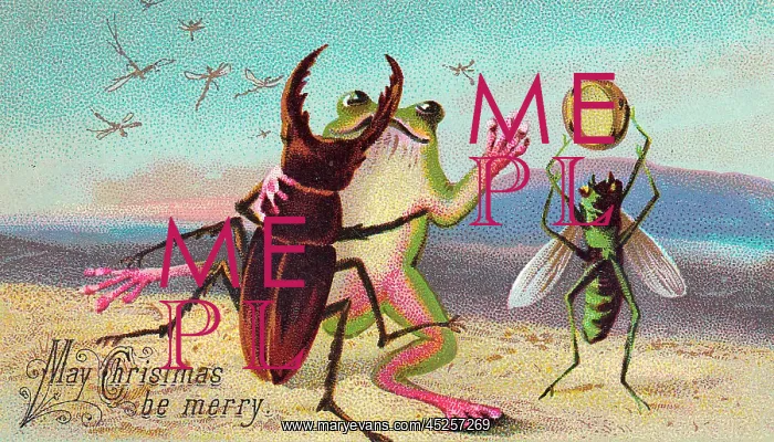 : Two insects and a frog on a Christmas card : Two insects and a frog on a Christmas card