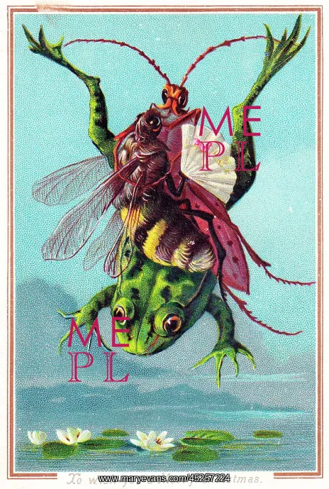  : Insects riding on a frog on a Christmas card
