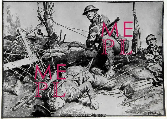  : (insert)
