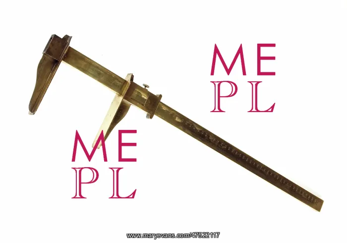  : (insert)
