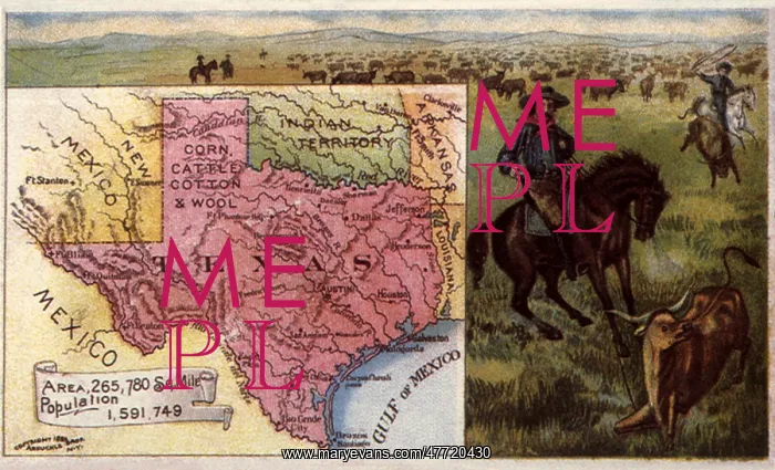  : Inset Map of Texas