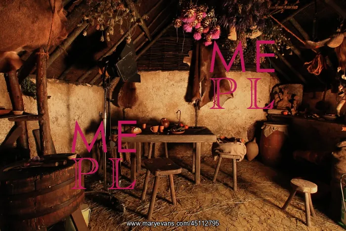 : Inside a Gallic hut : Inside a Gallic hut