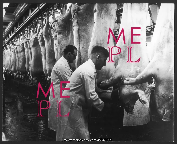  : INSPECTING CARCASSES