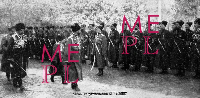 : Inspecting Cossack troops : Inspecting Cossack troops