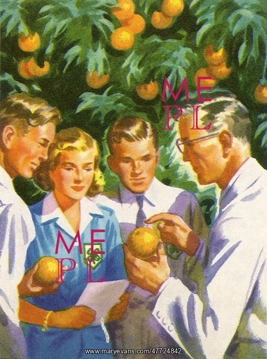 : Inspecting Oranges : Inspecting Oranges