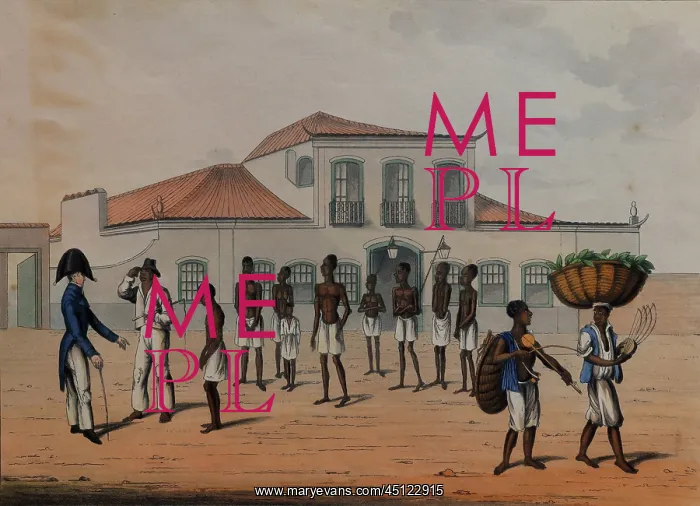 : Inspecting slaves, Musee d'Aquitaine, Bordeaux : Inspecting slaves, Musee d'Aquitaine, Bordeaux