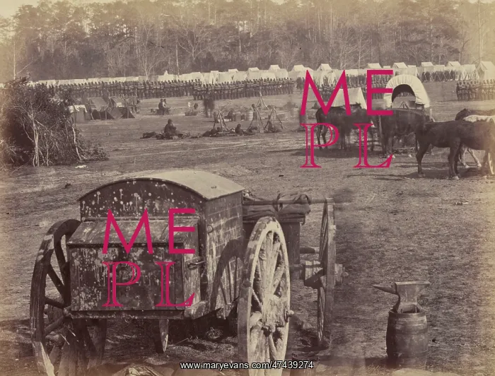 : Inspection of troops at Cumberlanding, Pamunkey, Virginia : Inspection of troops at Cumberlanding, Pamunkey, Virginia