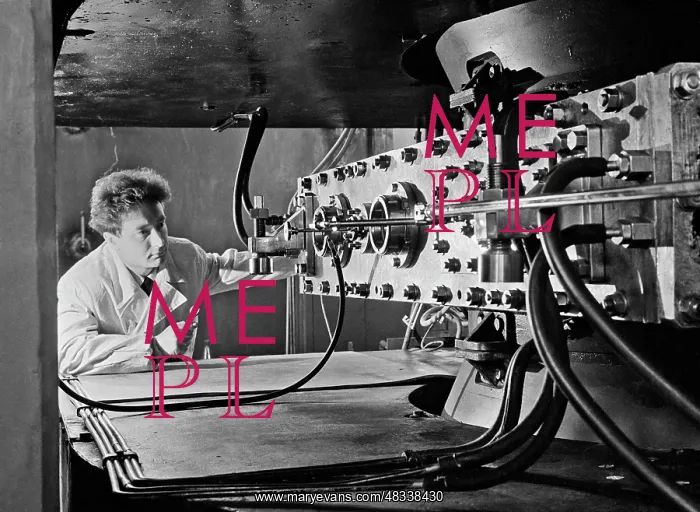: Institute of Nuclear Physics of MSU : Institute of Nuclear Physics of MSU