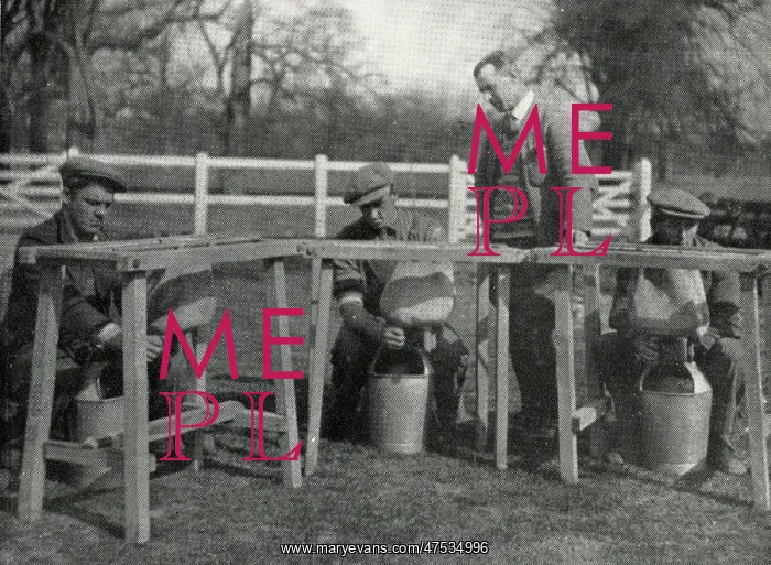 : Instruction in milking at Claydon Training Centre, Suffolk : Instruction in milking at Claydon Training Centre, Suffolk