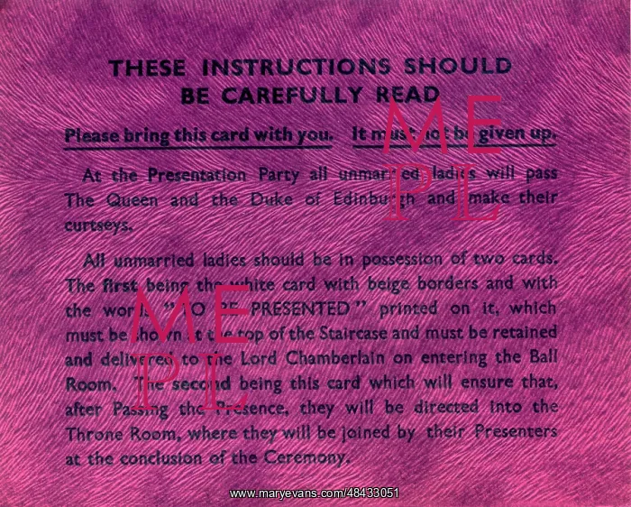 : Instructions for a Presentation Party at the Palace : Instructions for a Presentation Party at the Palace