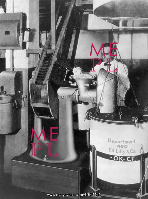  : Insulin Extraction