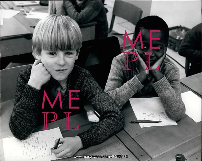 : Integration of immigrants in UK School System : Integration of immigrants in UK School System