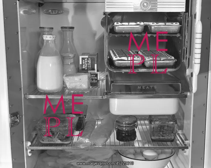 : Interior of a 1940's refrigerator.? : Interior of a 1940's refrigerator.?