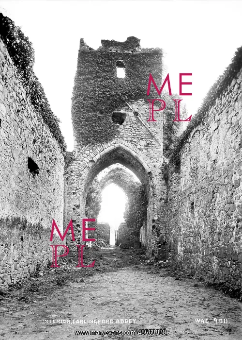 : Interior, Carlingford Abbey : Interior, Carlingford Abbey